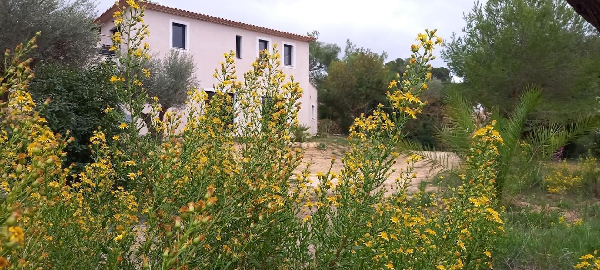 Domaine En Pleine Nature Et Tout Pres De La Plage Sanary-sur-Mer Exterior foto